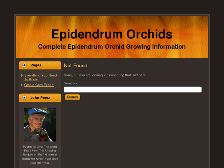 www.epidendrumorchids.com