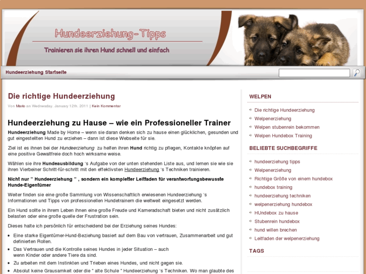 www.hundeerziehung-tipps.com