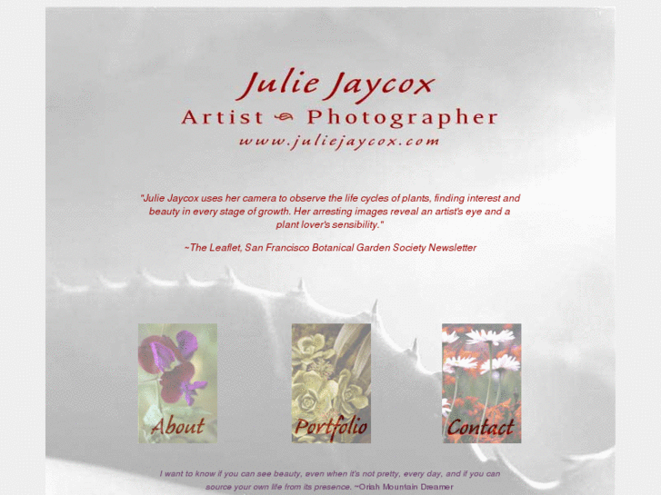 www.juliejaycox.com