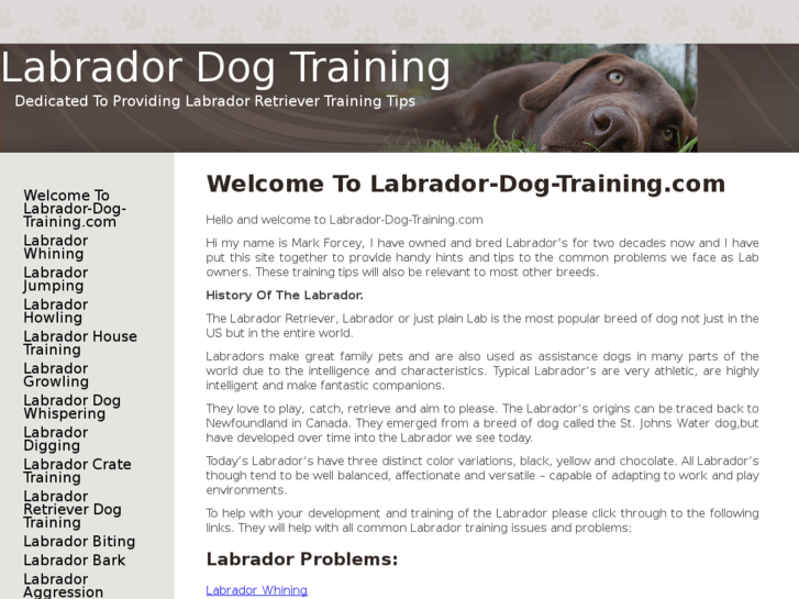 www.labrador-dog-training.com