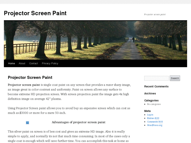 www.projectorscreenpaint.org