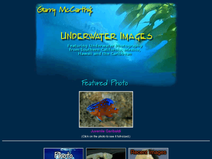 www.underwater-photos.com