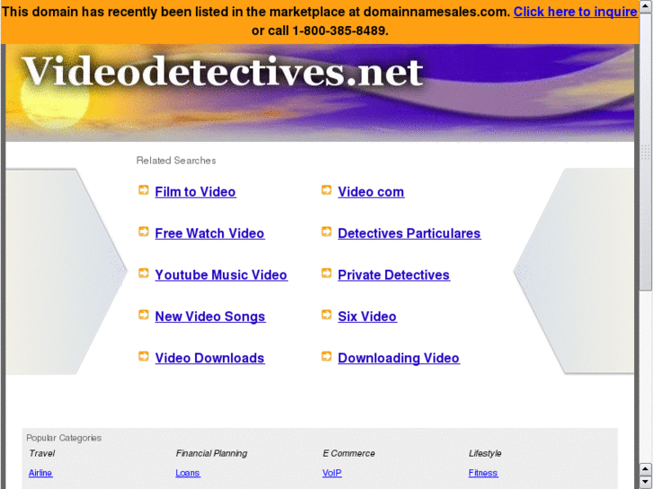 www.videodetectives.net