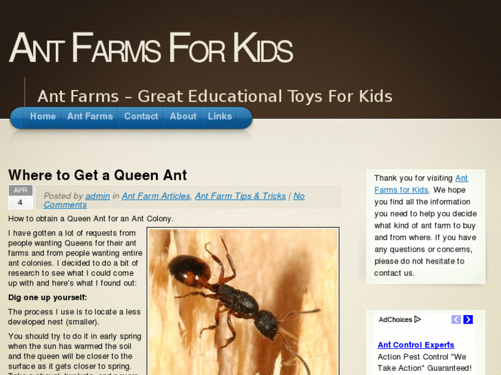 www.antfarmsforkids.com