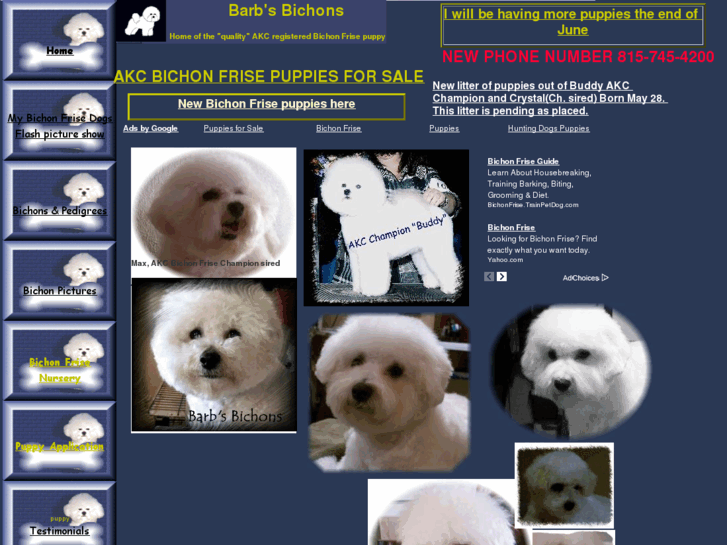 www.bichonfrise.ws