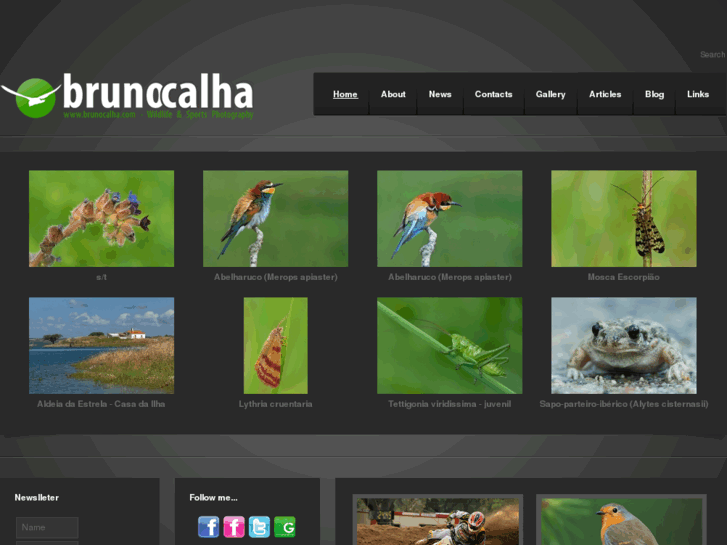 www.brunocalha.com