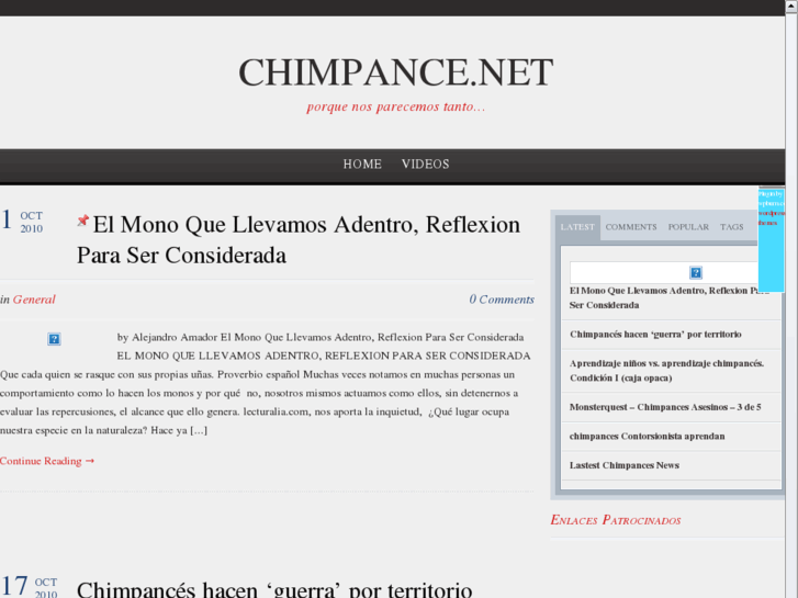 www.chimpance.net