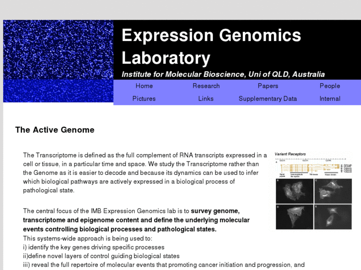 www.expressiongenomics.org