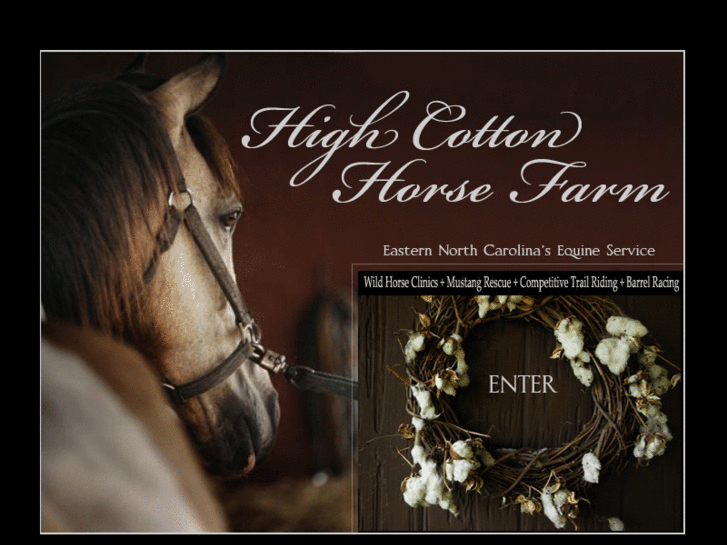 www.highcottonhorsefarm.com