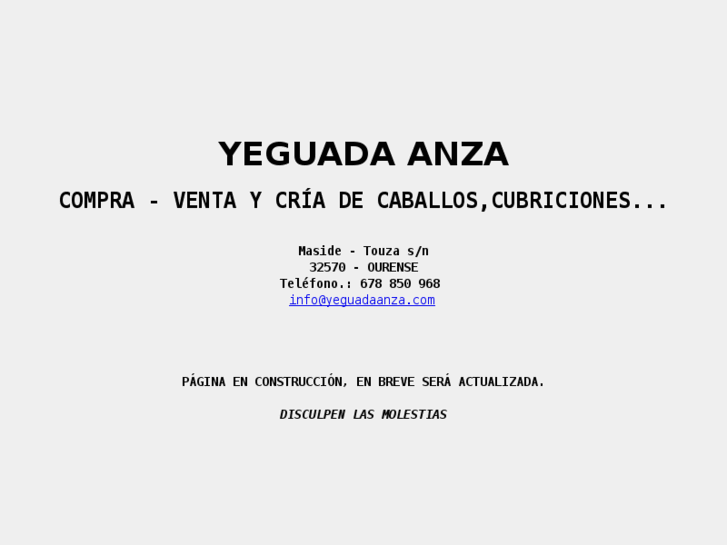 www.yeguadaanza.com