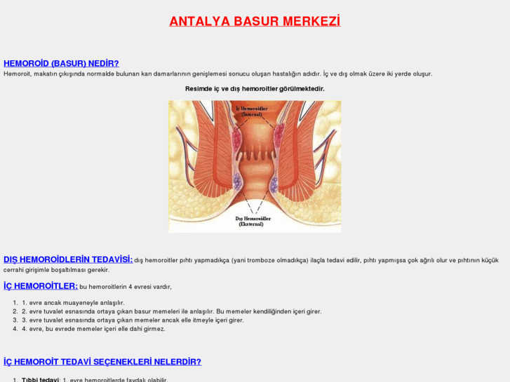 www.antalyabasur.com