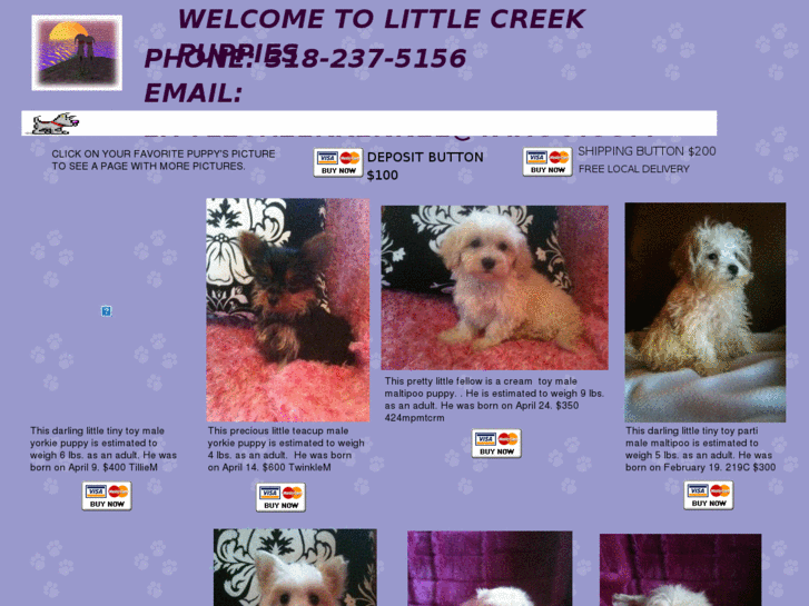 www.littlecreekkennel.com