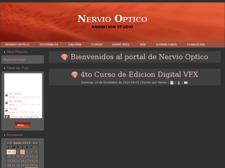 www.nerviooptico.net