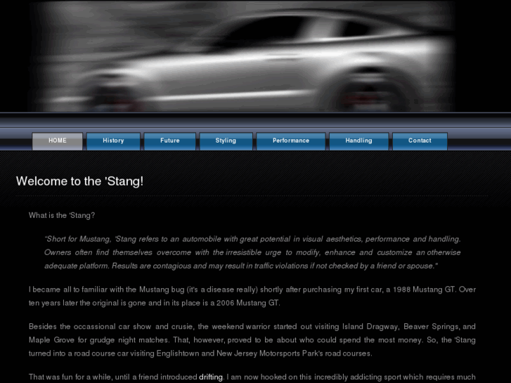 www.the-stang.com