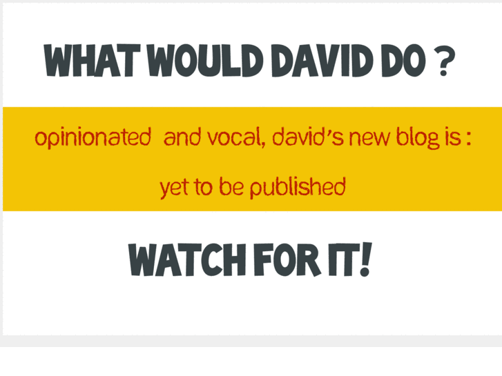 www.whatwoulddaviddo.com