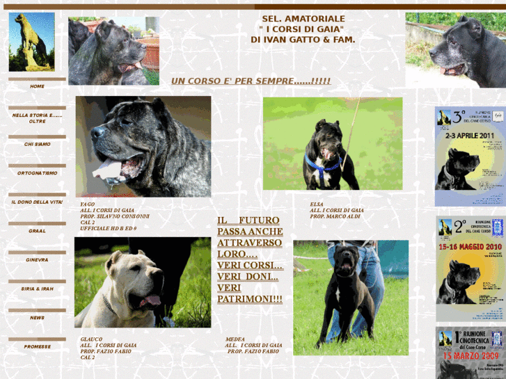 www.canecorsortognato.com