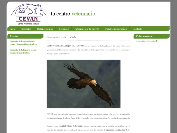 www.centroveterinarioandujar.com