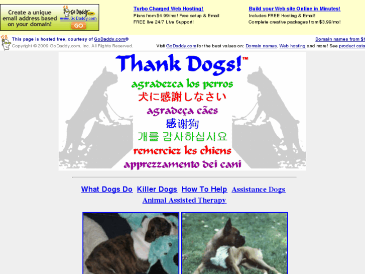 www.thankdogs.com