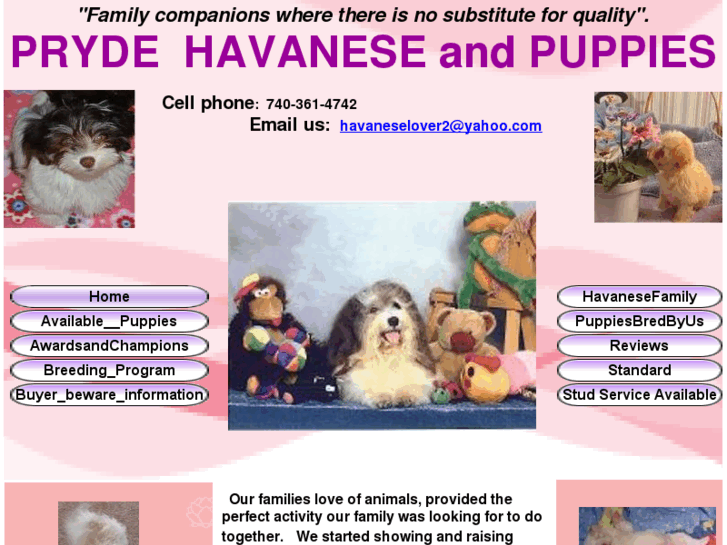 www.thebesthavanesepuppies.com