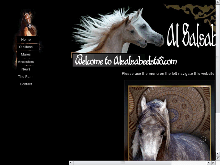 www.alsalsabeelstud.com