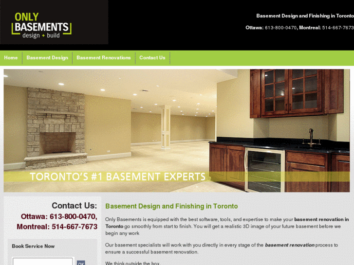 www.basementstoronto.com