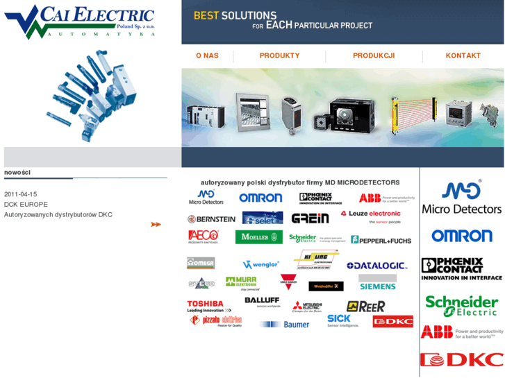 www.caielectric.com