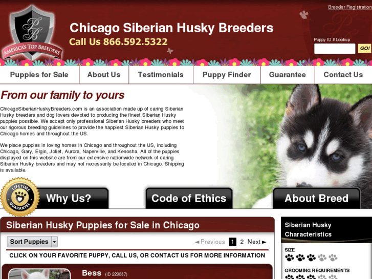 www.chicagosiberianhuskybreeders.com