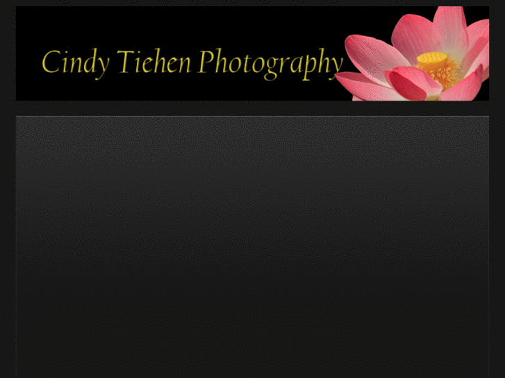 www.cindytiehenphotography.com