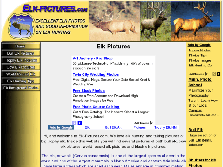 www.elk-pictures.com