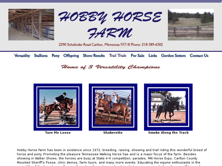 www.hobbyhorsefarm.net