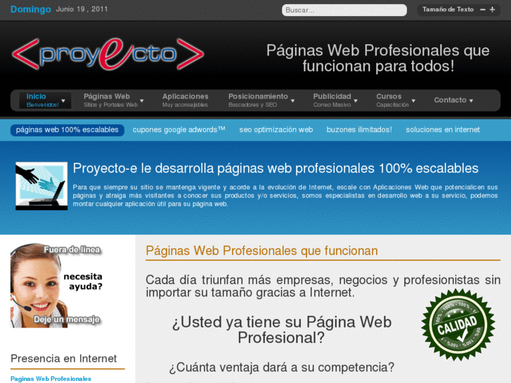 www.paginas-web-profesionales.mx