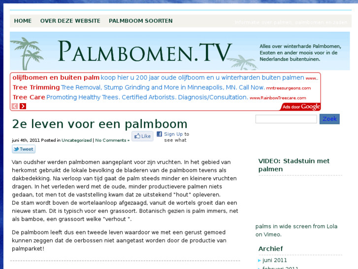 www.palmbomen.tv