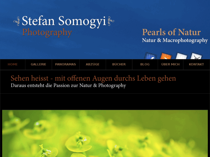 www.stefan-somogyi.com