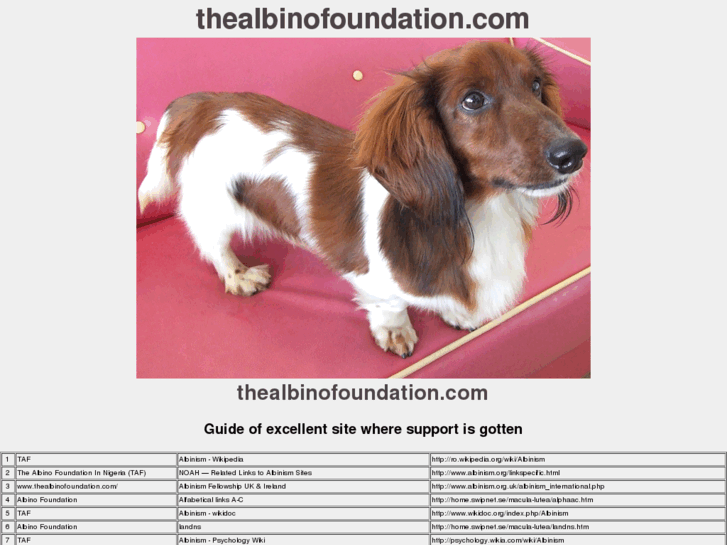 www.thealbinofoundation.com