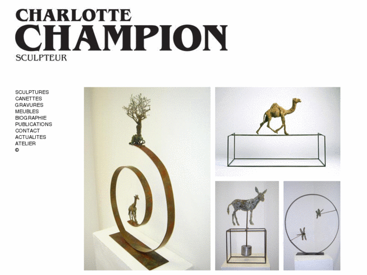 www.charlottechampion.com