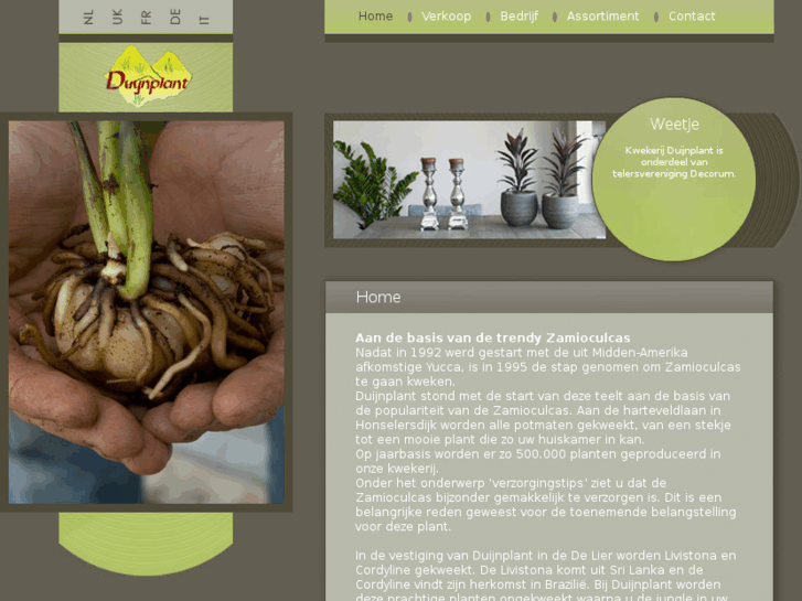 www.duynplant.nl