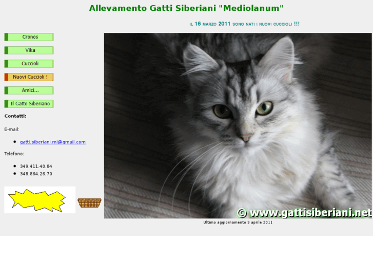 www.gattisiberiani.net