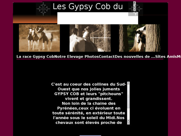 www.lesgypsycobdusoulan.com