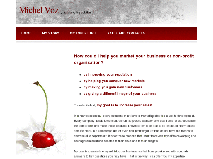 www.michelvoz.com