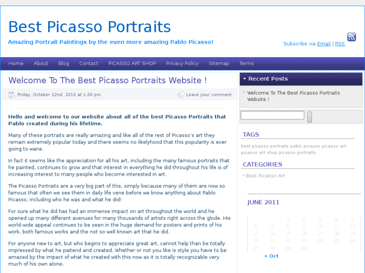 www.picassoportraits.org