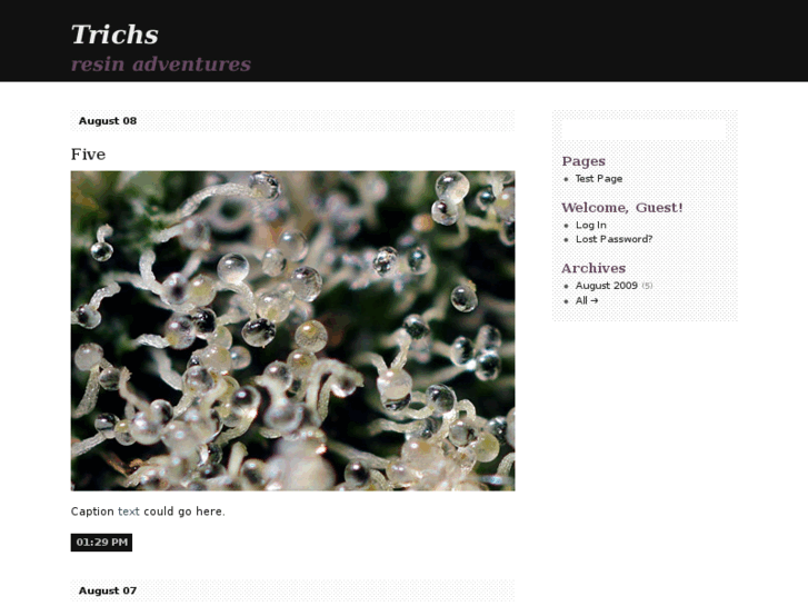 www.trichs.com