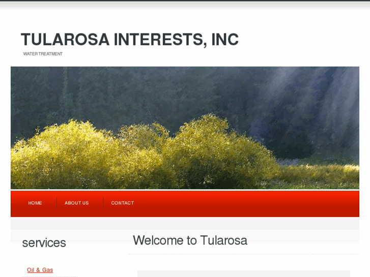 www.tularosainterests.com