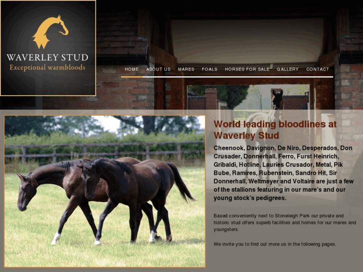 www.waverleystud.com