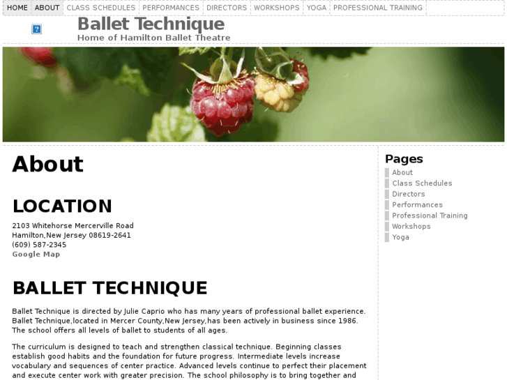 www.ballettechnique.org