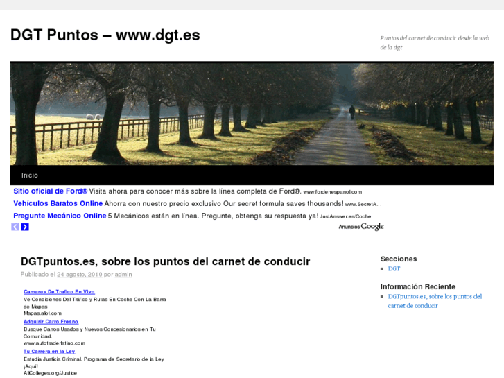 www.dgtpuntos.es