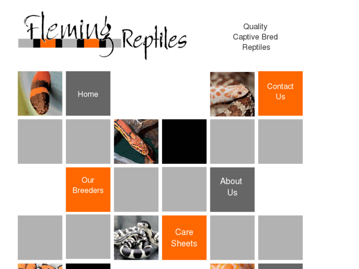 www.flemingreptiles.com