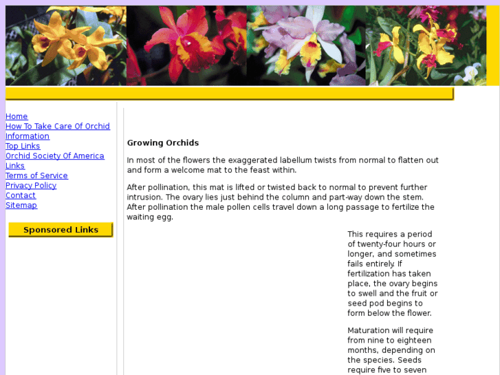www.growing-orchids-made-easy.com
