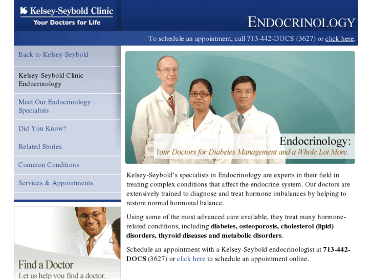 www.houstonendocrinologydocs.info