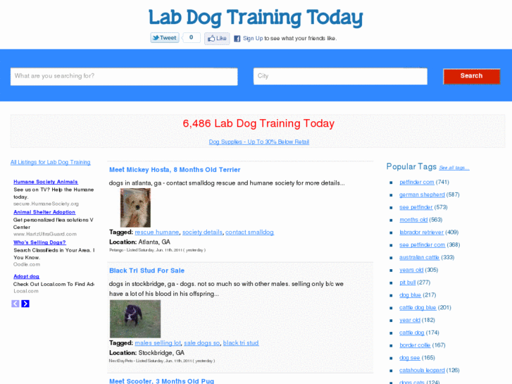 www.labrapport.com