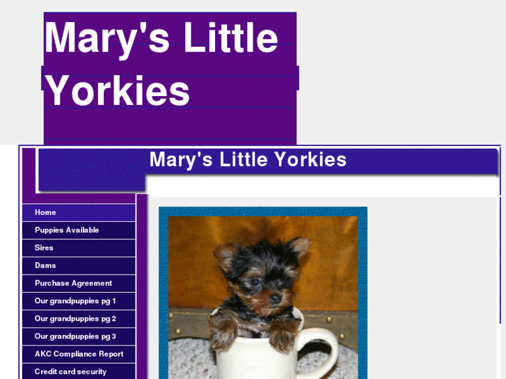 www.maryslittleyorkies.com